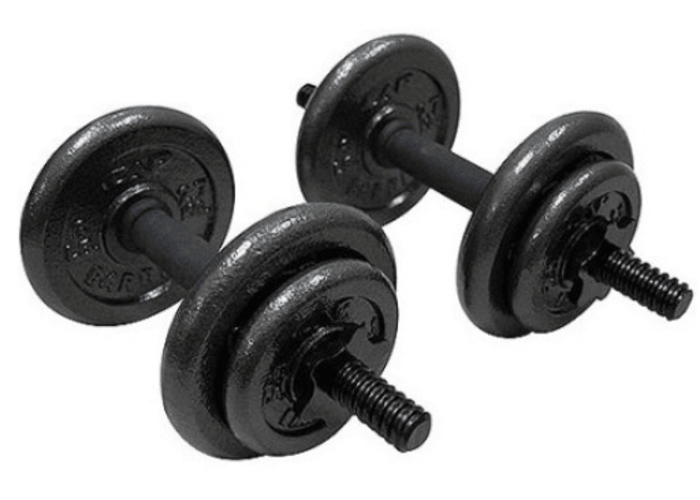 Gold's Gym 40lb Cast Dumbbell Set