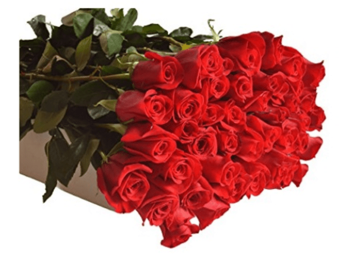 96-ct Long Stem Red Roses 