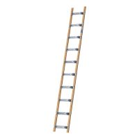 Dachleiter