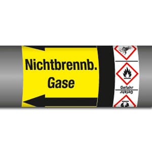 Gruppe 5 - Nichtbrennbare Gase mit Gefahrstoffsymbol (GHS)