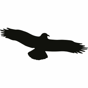 Vogelpiktogramm