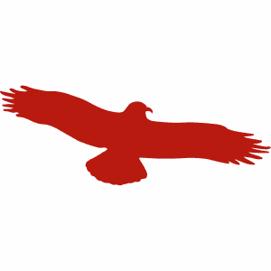 Vogelpiktogramm