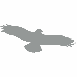 Vogelpiktogramm