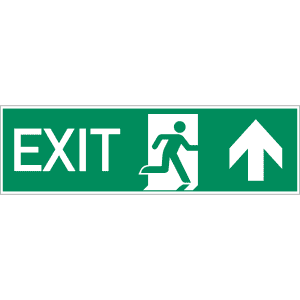 EXIT nach oben nach ISO 16069
