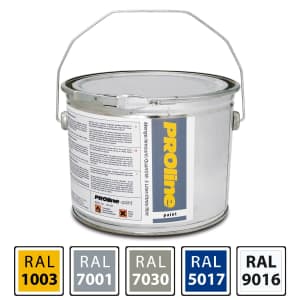 Hallenmarkierfarbe PROline paint