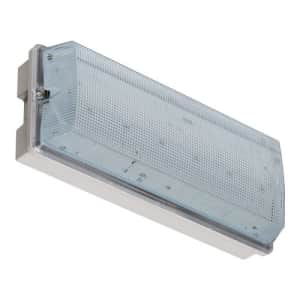 Frostsichere Notleuchte FROST-LUX LED (Wand-/Deckenaufbau)
