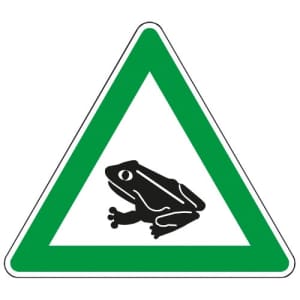 Krötenwanderung
