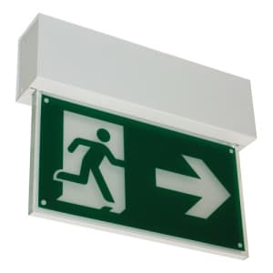Rettungszeichenleuchte FRANKFURT (Deckenaufbau), 7L-Schutzlicht