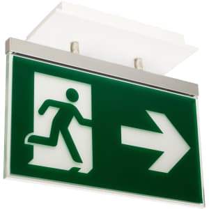 Rettungszeichenleuchte PARIS Maxi (Universalaufbau), 7L-Schutzlicht