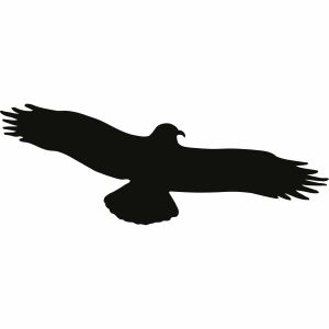 Vogelpiktogramm