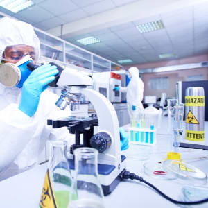 Warnschild Biogefahr Biohazard im Labor