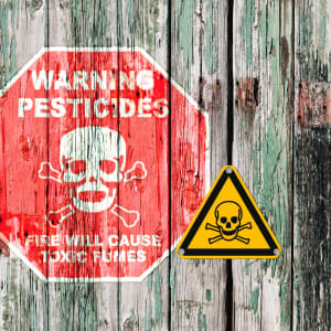 Warnschild Giftig Lebensgefahr ISO 7010