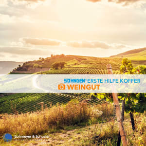 Erste Hilfe Koffer Weingut DIN 13157 / ASR A4.3 - Söhngen® DIREKT