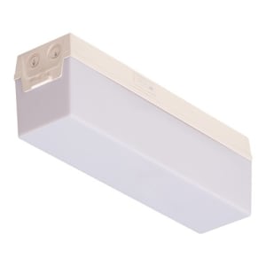 Notleuchte C-LUX STANDARD LED (Wand-/Deckenaufbau)