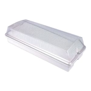Frostsichere Notleuchte FROST-LUX LED (Wand-/Deckenaufbau)