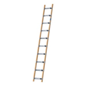 Dachleiter