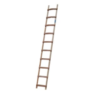 Dachleiter