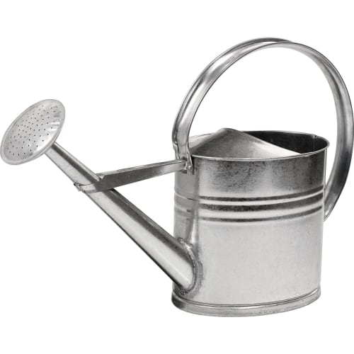Gießkanne B&S Basic Pro