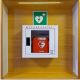 Defibrillator nach ISO 7010 (E 010)