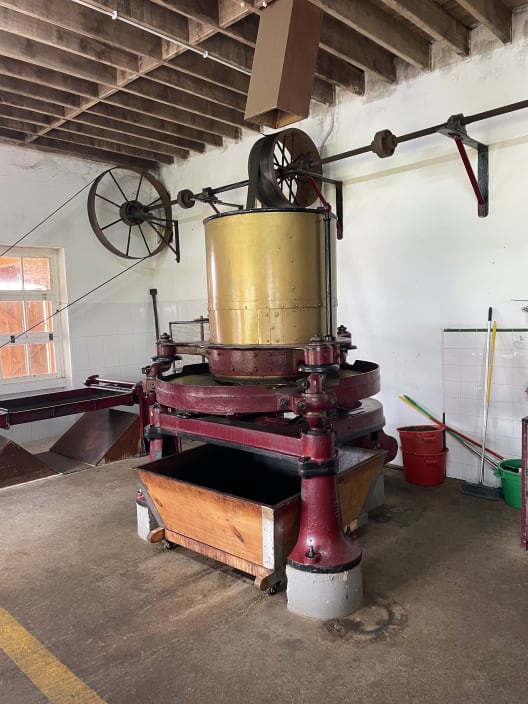 Gorreana tea factory