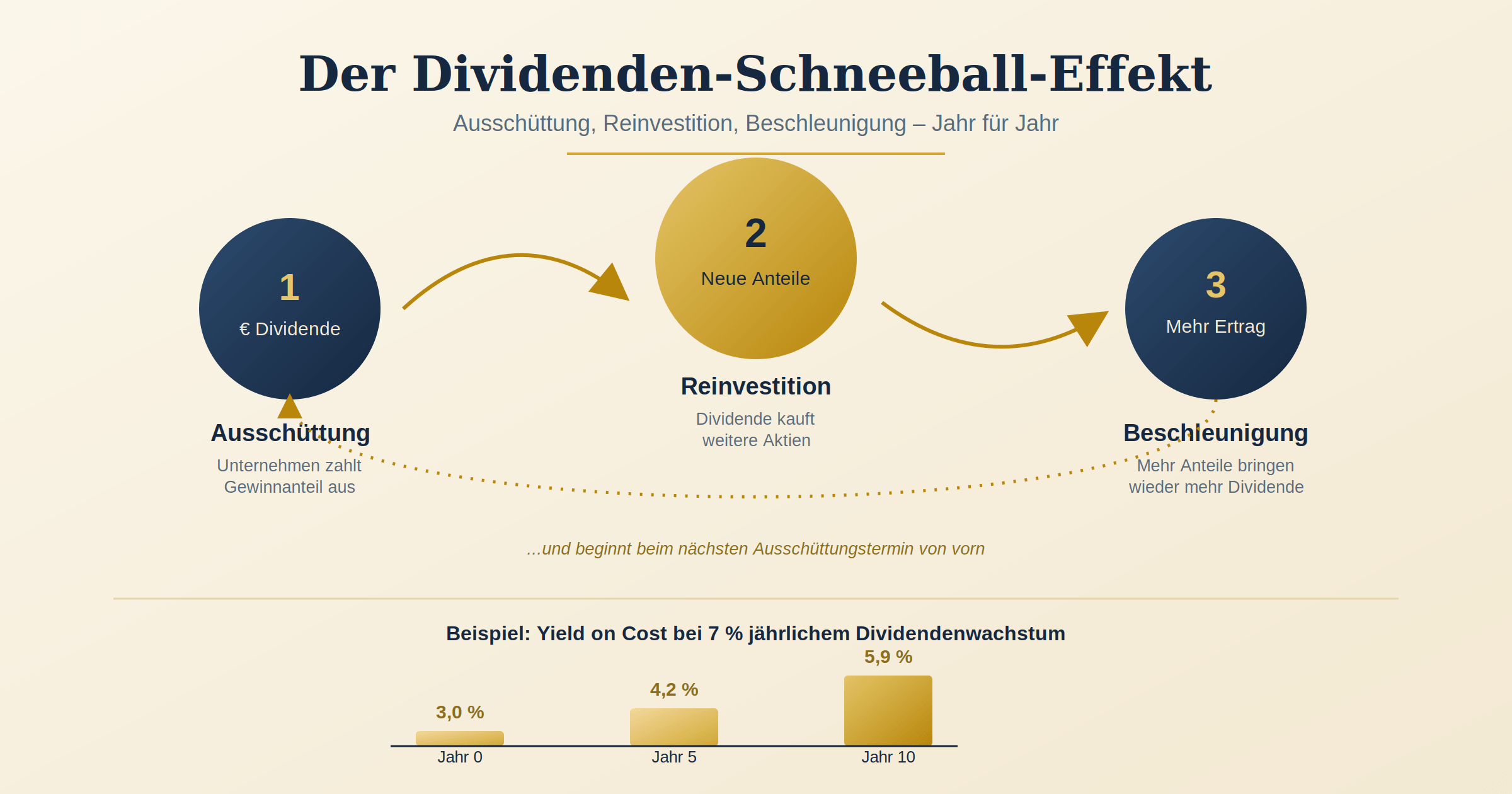 Dividenden Schneeballsystem Infografik