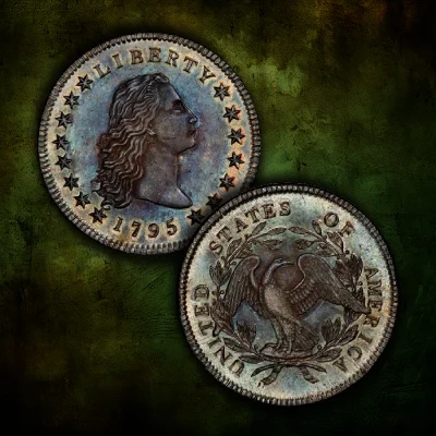 1795 Flowing Hair Dollar, 3 Leaves