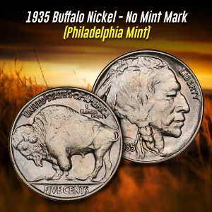 1935 Buffalo Nickel - No Mint Mark (Philadelphia Mint)