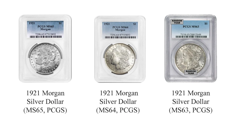 Graded Morgan Silver Dollars