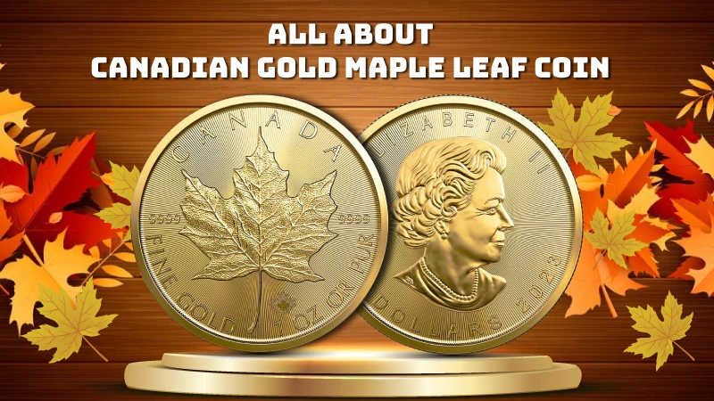 All About Canadian Gold Maple Leaf Coin