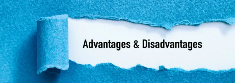 Advantages & Disadvantages of Buying Gold Bullions