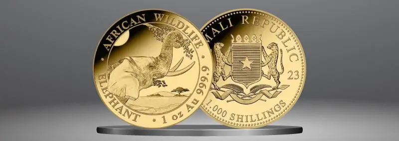 2023 Somalia Elephant Gold Coin