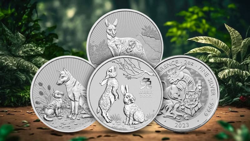 Top 5 Highly Valued 2 oz Silver Coins for Investment
