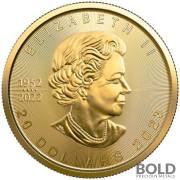 2023 Gold 1/2 oz Canada Maple Leaf Coin