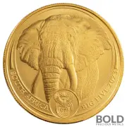 Buy South African Mint Big Five Silver, Gold Coins | BOLD Precious