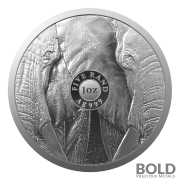 2021 South Africa Big Five II Elephant 1 oz Silver BU