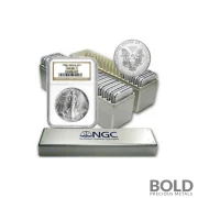 1986-2024 American Silver Eagle 40-Coin Set NGC MS69 (Type 1 & 2)