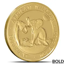 2024 1/2 Gram Somalia Elephant Gold Coin (BU)