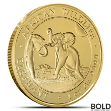 2024 1 oz Somalia Elephant Gold Coin (BU)