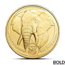 2024 1 oz South Africa: Big Five Elephant Gold Coin (BU)