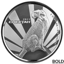 2022 1 oz Cameroon Cheetah Silver Coin (BU)