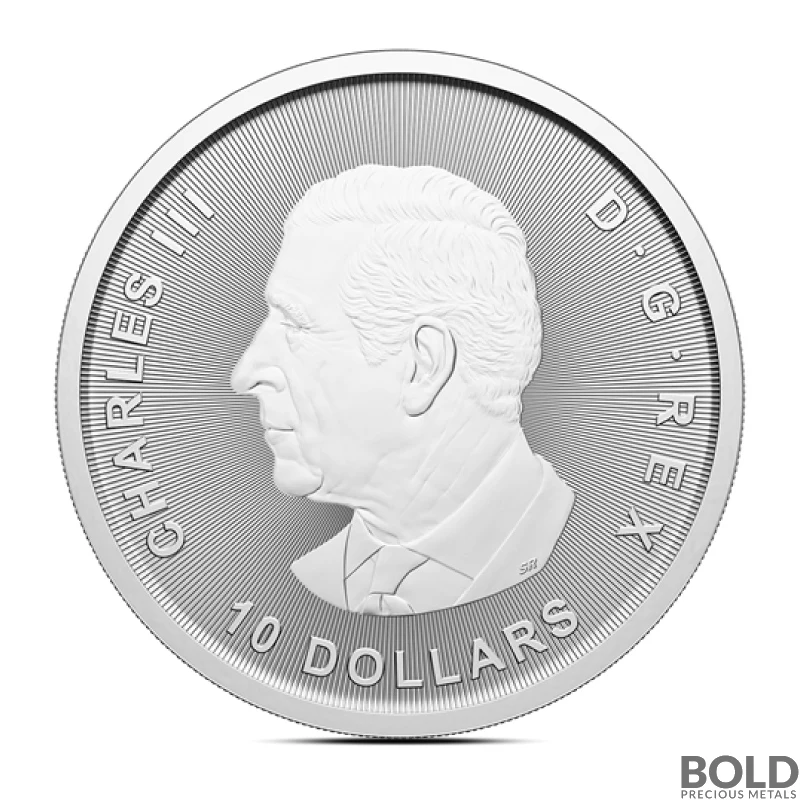 銀　カナダ産 2025 2 oz Canadian Goose Silver Coin (BU)