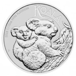 Australian Koala Platinum Coins