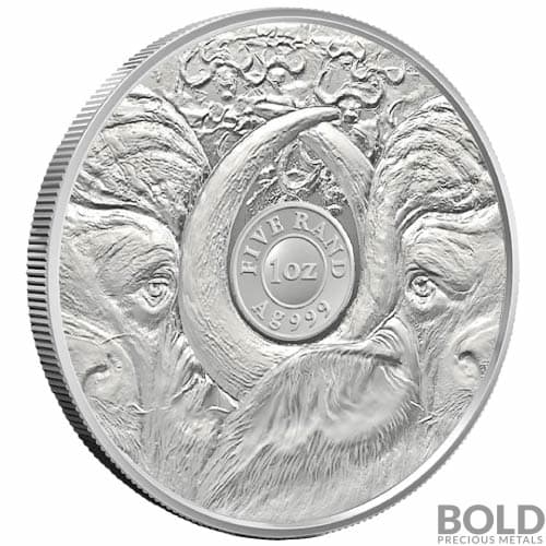 2023 1 oz South Africa Big Five Buffalo Silver Coin (BU)