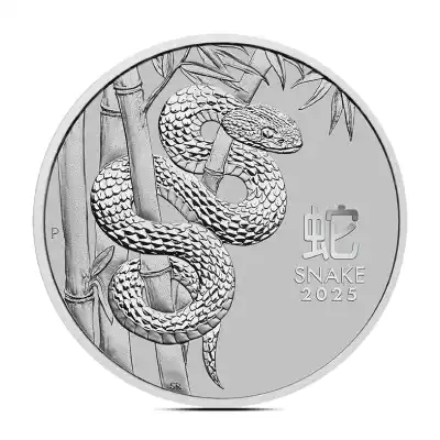 2025 1 oz Perth Lunar Year of the Snake Platinum Coin (BU)