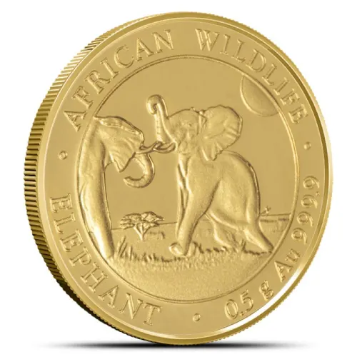 2024 1/2 Gram Somalia Elephant Gold Coin (BU)
