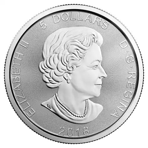 Silver 1 oz Royal Canadian Mint Coin *Random Design*