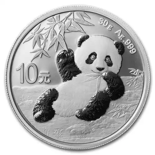 2020 Silver 30 g China Panda