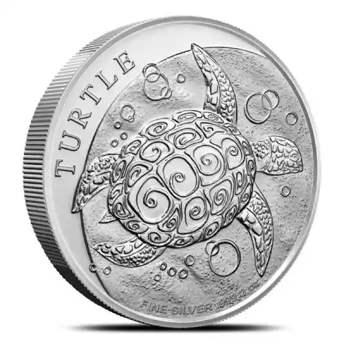 2024 2 oz Niue Hawksbill Sea Turtle Silver Coin (BU)