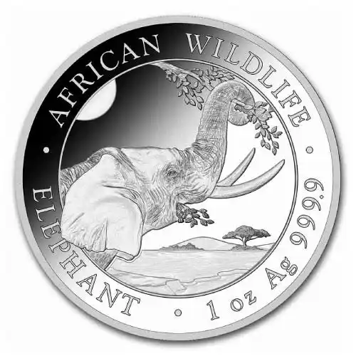 2023 1 oz Somalia Elephant Silver Coin (Impaired)