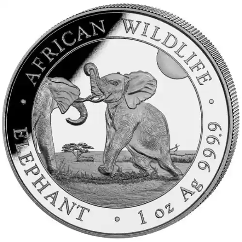 2024 1 oz Somalia Elephant Silver Coin (BU)